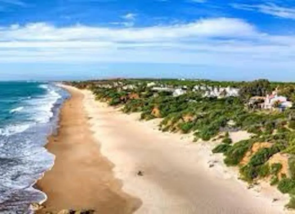 Villa Escocia, Entre Pinares Y A Pie De Playa Roche Spain